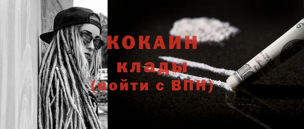 шишки Абинск