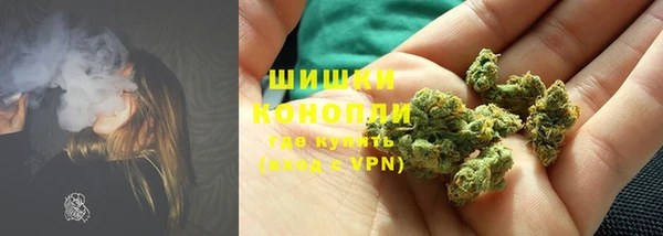 шишки Алзамай