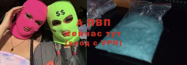 шишки Абинск