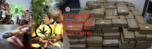 шишки Абинск